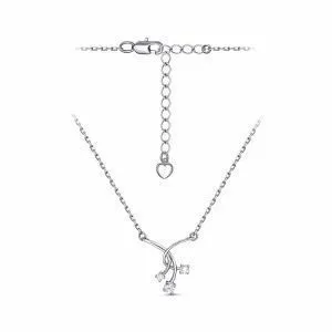 f4a51145-c2af-11ef-ac94-3cecef60cf21_809e3a77-f9a5-11ef-ac95-3cecef60cf21