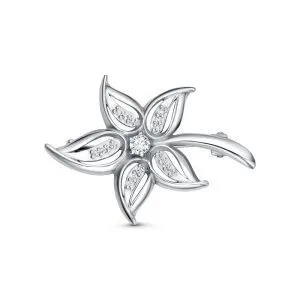 0a785b98-7285-11f0-ac99-3cecef60cf21_aa5b788f-e18e-11f0-ac9b-3cecef60cf21