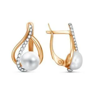 73871ac4-19ef-11f0-ac98-3cecef60cf21_1988a82a-58a9-11f0-ac99-3cecef60cf21