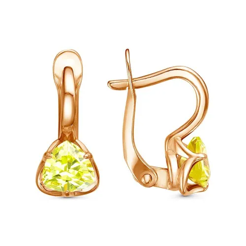 34814355-9_серьги