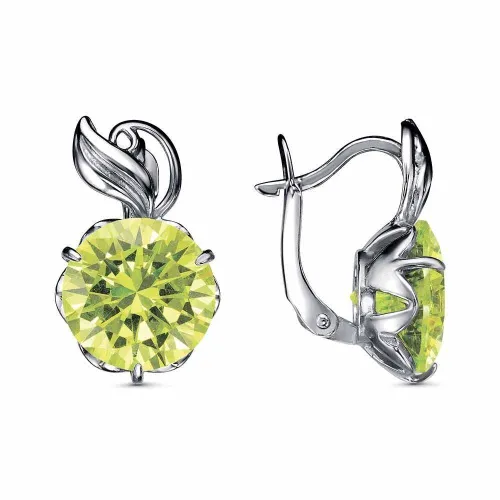 34812352-18_серьги