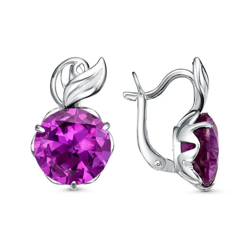 33812352пл21_серьги