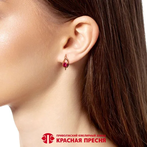 33816845-8_серьги