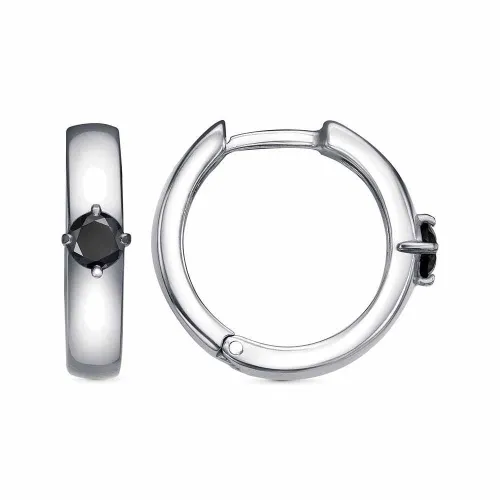 33816016пл1_серьги