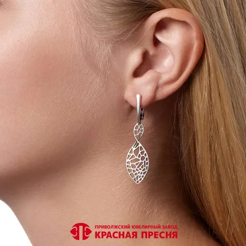 33016572_серьги