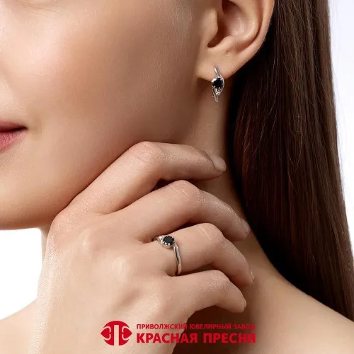 33816302пл1_серьги