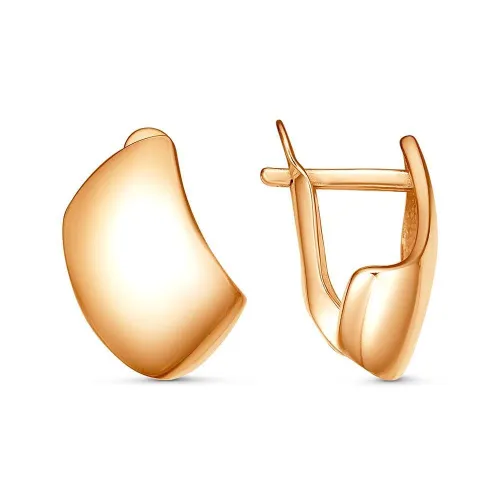 33016977_серьги