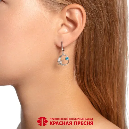 33816974д3_серьги