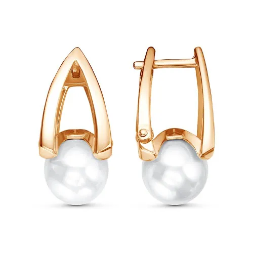 34614425к_серьги