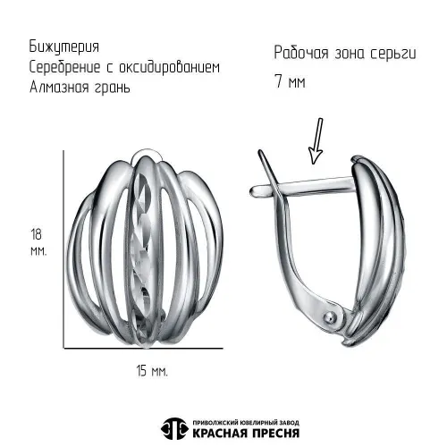 34013434-5_серьги