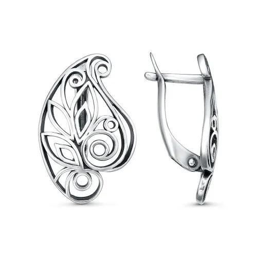 34017000_серьги