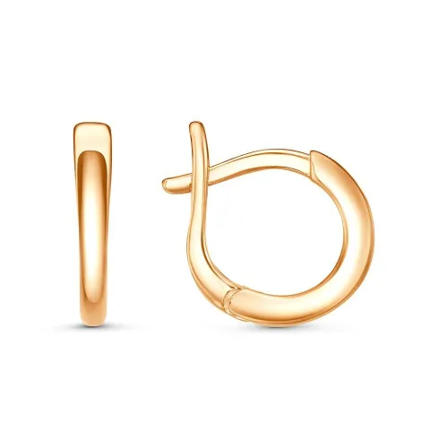 33017029_серьги