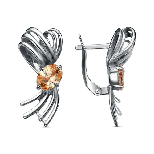 33817414-11_серьги