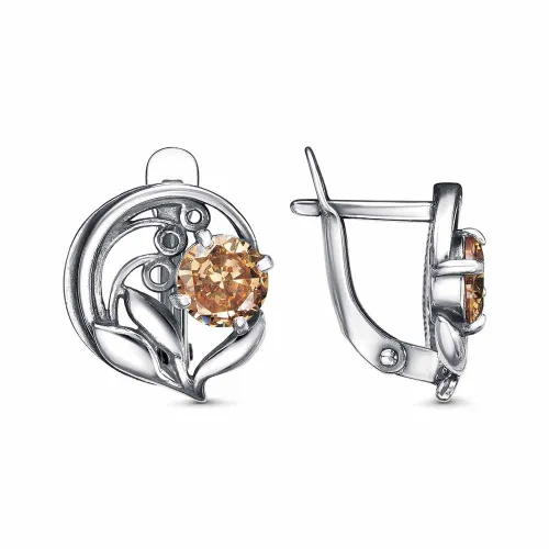 34816584-5_серьги