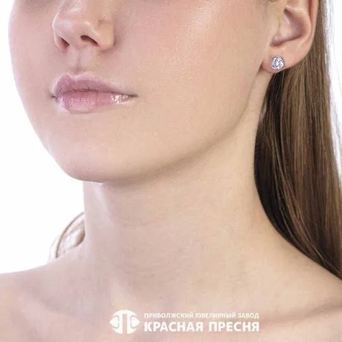 3382622б6_серьги