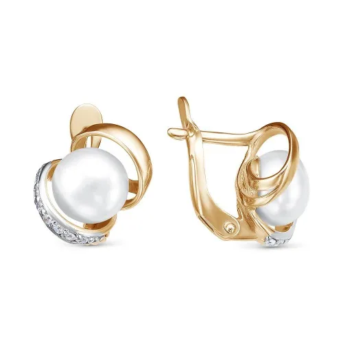 33312601д_серьги