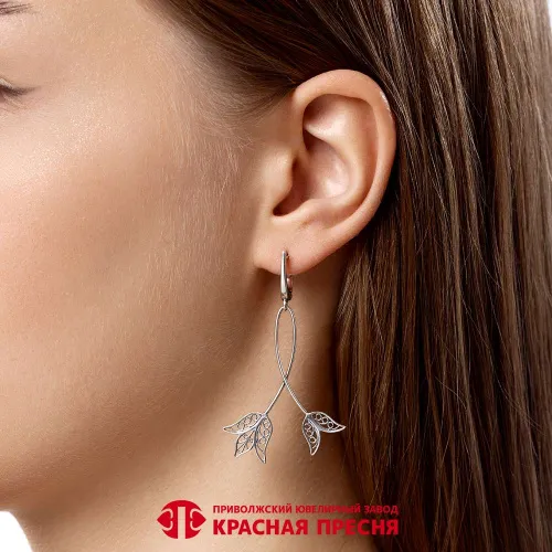 34017200_серьги