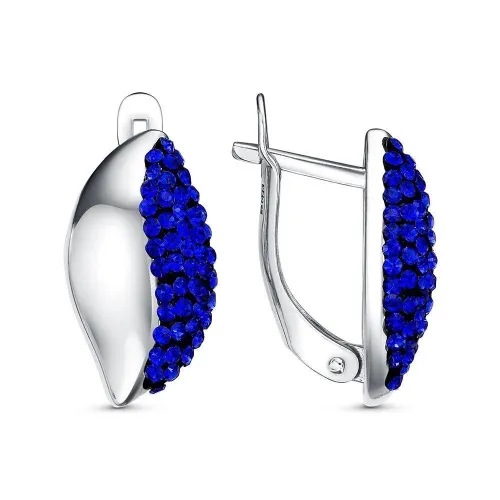 33614680д4_серьги