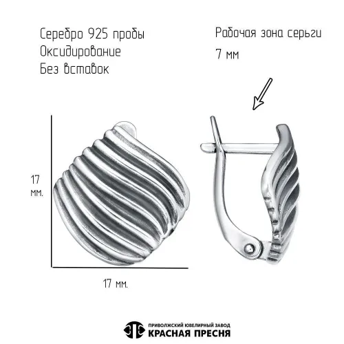 33017068_серьги