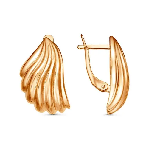 34017195_серьги