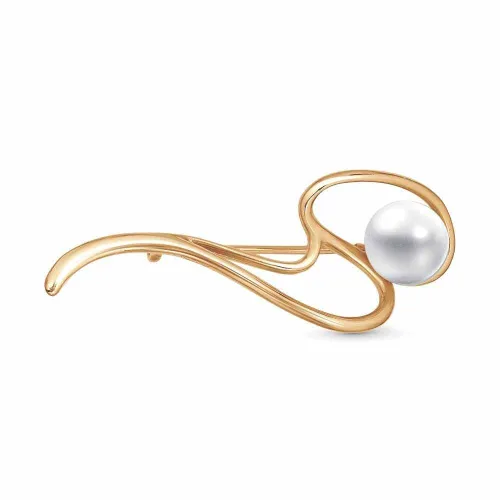 14315921к_брошь