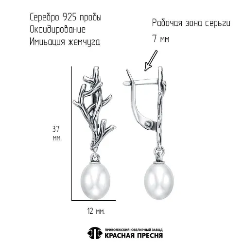 33616982_серьги