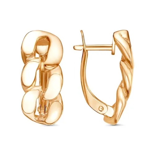 34013665_серьги