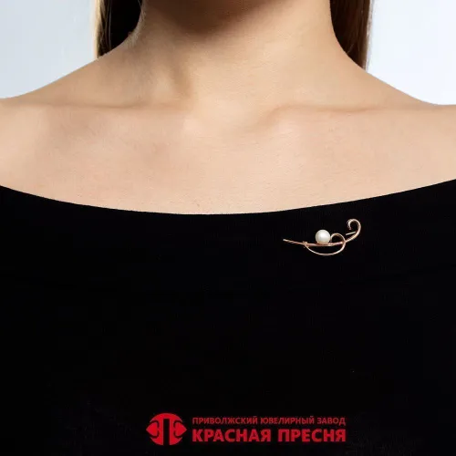 14315917к_брошь