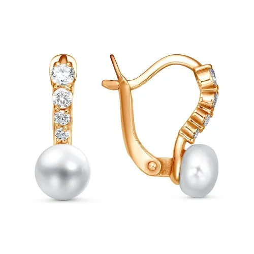 33317349_серьги