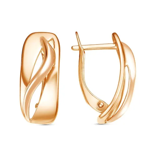 34013539_серьги