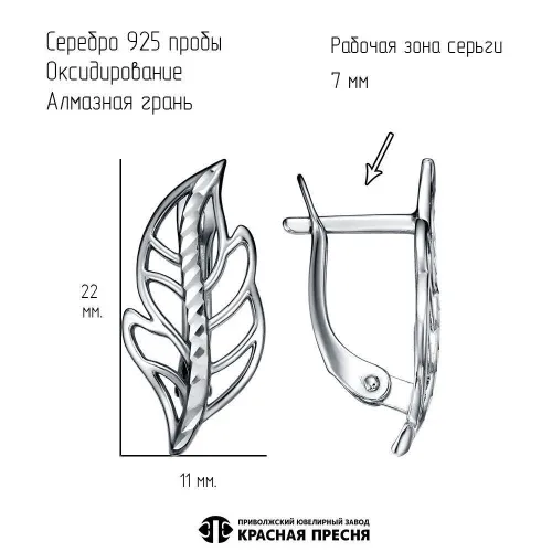 33016896-5_серьги