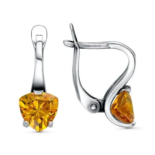 34813632-4_серьги