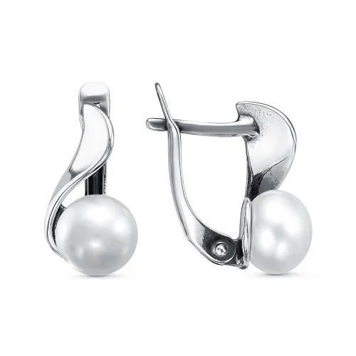 33313474_серьги