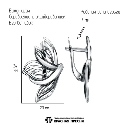 34016642_серьги