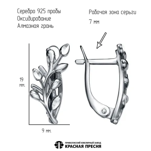 33016418-5_серьги