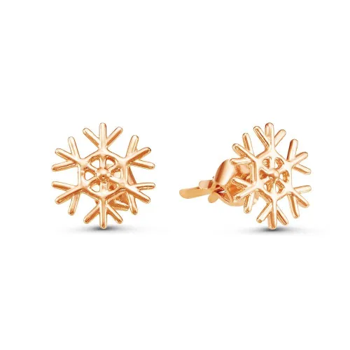 3409803_серьги