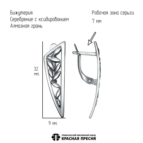 34017066-5_серьги