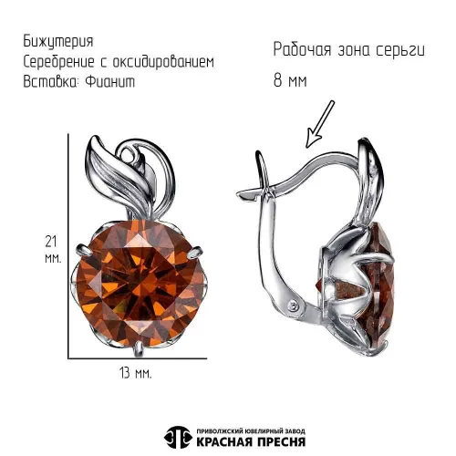 34812352-25_серьги