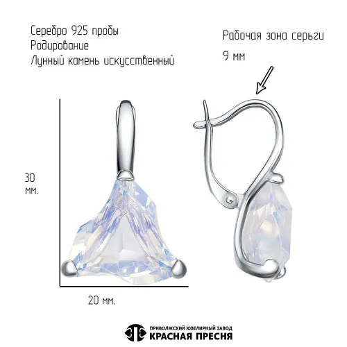 33616970д_серьги