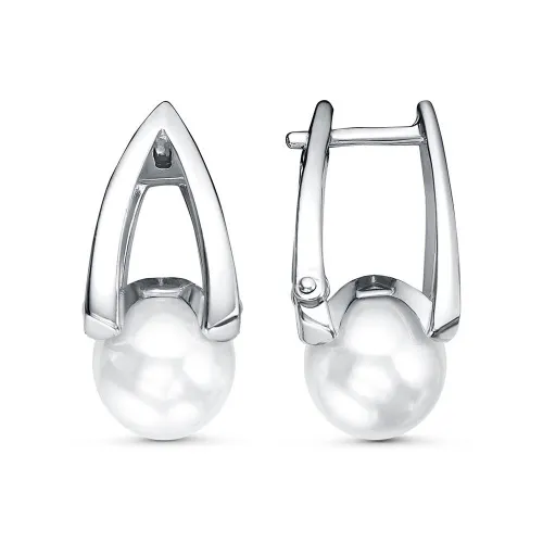 34614424плк_серьги