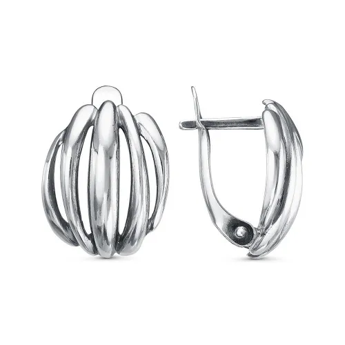 34013434_серьги