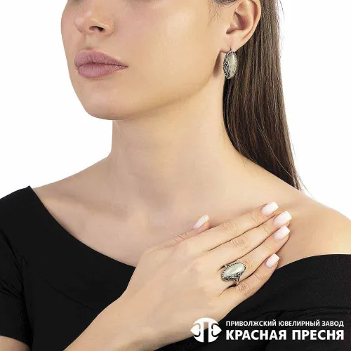 33313096в_серьги