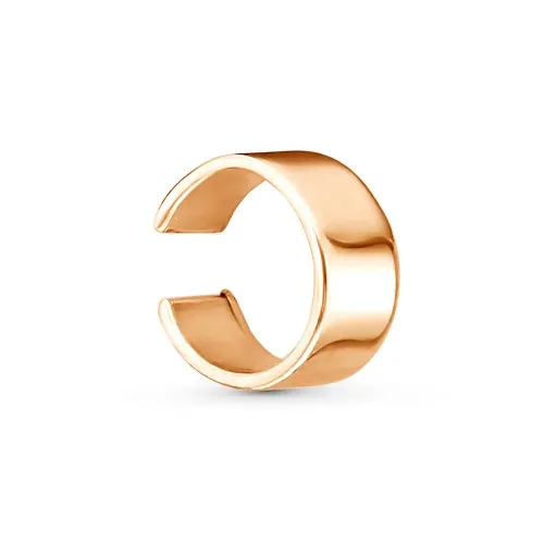 33013981_серьга