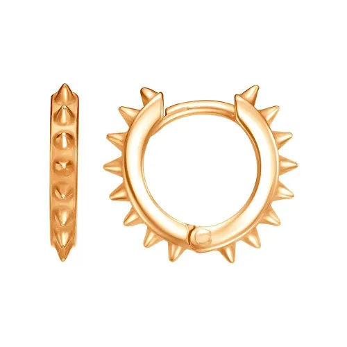 34017437_серьги