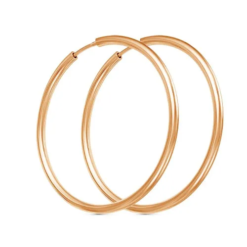 33010981_серьги