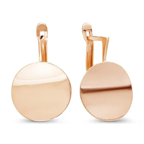 3408165_серьги