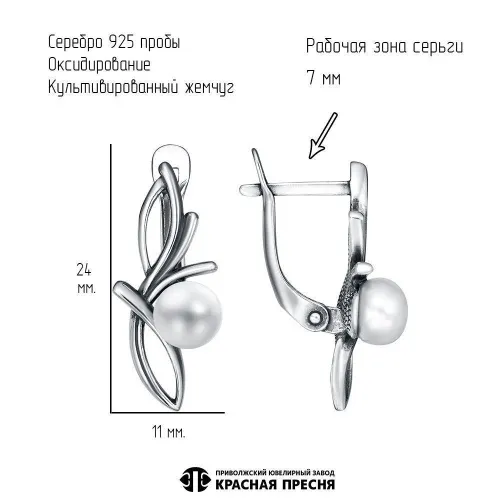 33316746_серьги