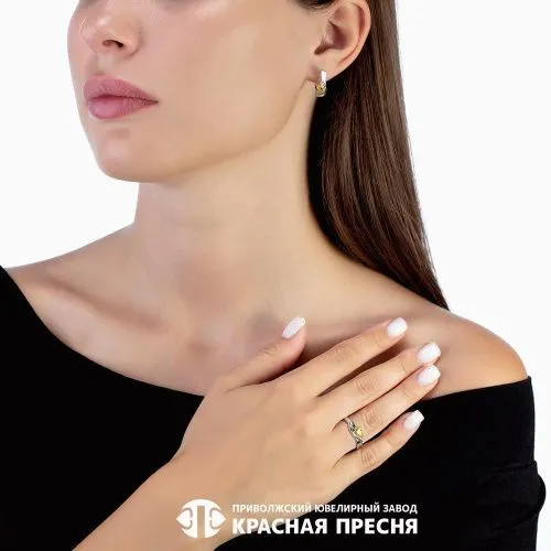 33813728д17_серьги