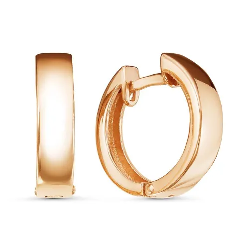 3309857_серьги