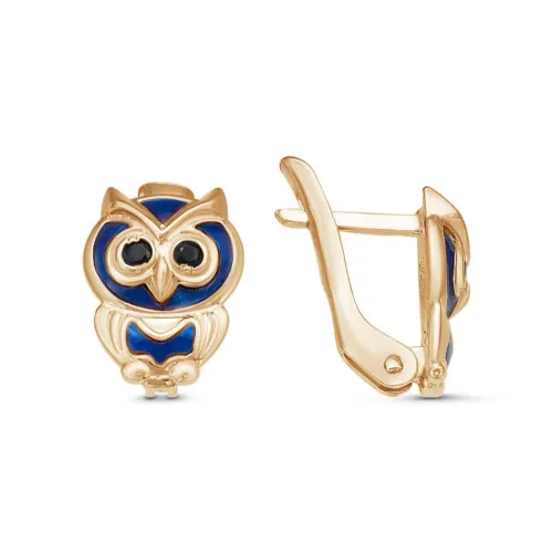 33811849-1_серьги